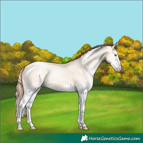 Horse Color:White Spotted Sable Champagne Pearl Dun Splash Rabicano 