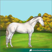 Horse Color:White Spotted Sable Champagne Pearl Dun Splash Rabicano 