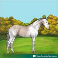Horse Color:White Spotted Classic Champagne Dun Sabino Splash Rabicano 