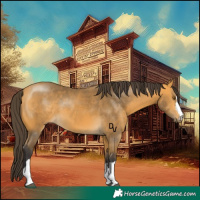 Horse Color:Buckskin 