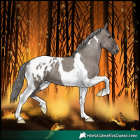 Horse Color:Platinum Smoky Grullo Tobiano Blanket 