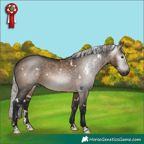 Horse Color:Gray White Spotted Silver Brown Dun Rabicano 