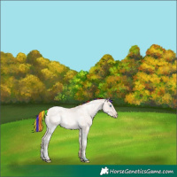 Horse Color:Painted White Spotted Classic Champagne Ice Roan Pearl Dun Mushroom Rabicano 