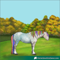 Horse Color:Gray Painted White Spotted Silver Grullo Ice Pearl Rabicano 