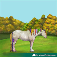 Horse Color:Painted White Spotted Classic Champagne Ice Pearl Tobiano Rabicano 