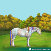Horse Color:Gray Painted White Spotted Silver Classic Champagne Ice Pearl Tobiano Rabicano 