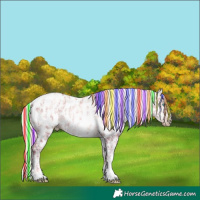 Horse Color:Gray Painted White Spotted Gold Champagne Ice Pearl Dun Mushroom Tobiano Appaloosa Rabicano  and Painted White Spotted Gold Champagne Ice Pearl Dun Mushroom Tobiano Frame Appaloosa Rabicano 