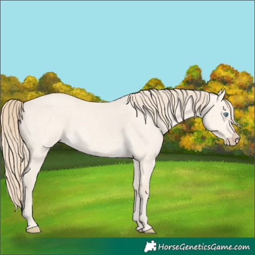 Horse Color:Perlino Dun 