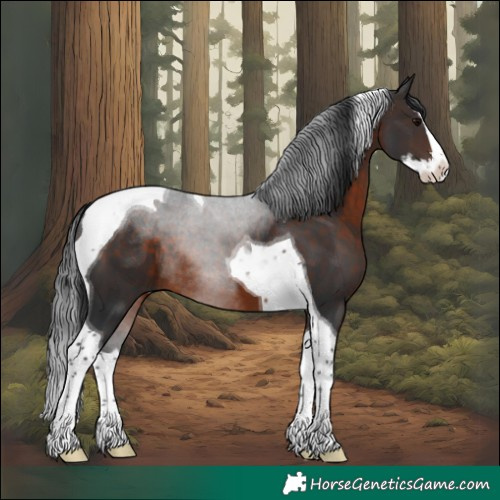 Horse Color:Brown Sabino Splash Tobiano 