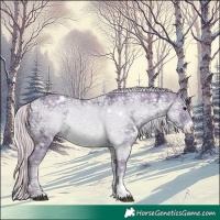 Horse Color:Watercolor White Spotted Silver Black Ice Rabicano 