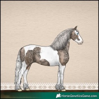 Horse Color:Silver Classic Champagne Ice Pearl Splash Tobiano 