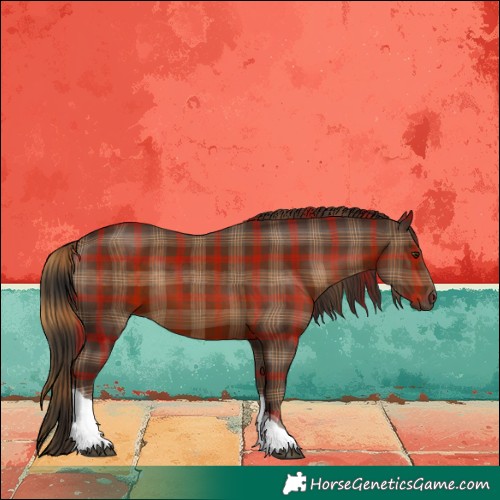 Horse Color:Plaid  Liver Chestnut Sabino Tobiano 