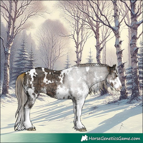 Horse Color:Plaid  White Spotted Liver Chestnut Ice Splash 