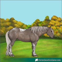 Horse Color:Silver Black Tobiano 