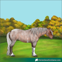 Horse Color:Silver Brown Roan Tobiano 