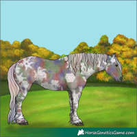 Horse Color:Nacre White Spotted Silver Black Ice Tobiano 