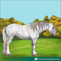 Horse Color:Nacre White Spotted Silver Grullo Ice Roan 