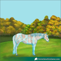 Horse Color:Thunderstruck Silver Bay Ice Dun Splash Tobiano 