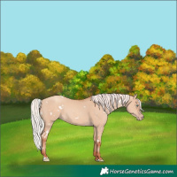 Horse Color:White Spotted Silver Sable Champagne Dun 
