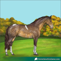 Horse Color:Chocolate Buckskin Sabino Tobiano 
