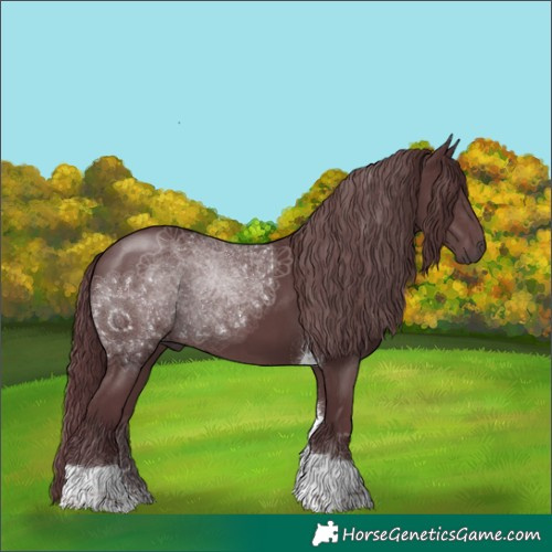 Horse Color:Chocolate Black Tobiano