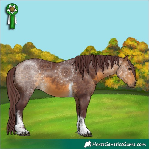 Horse Color:Chocolate Buckskin Tobiano 