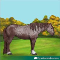 Horse Color:Chocolate Smoky Black Tobiano 