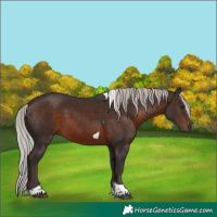 Horse Color:Silver Brown Tobiano 