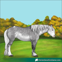 Horse Color:Silver Buckskin Chinchilla Dun Sabino Varnish 