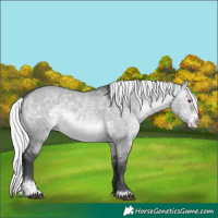Horse Color:Silver Brown Chinchilla Dun Sabino Varnish 