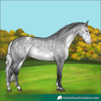 Horse Color:Silver Brown Chinchilla Dun Sabino Varnish 
