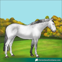 Horse Color:White Spotted Brown Chinchilla Roan Dun Rabicano 