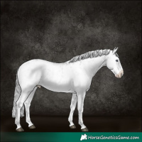 Horse Color:White Spotted Brown Chinchilla Dun Sabino Varnish 
