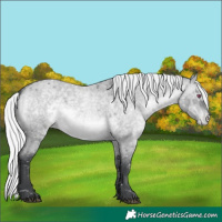 Horse Color:Silver Brown Chinchilla Roan Dun Snowflake Varnish 