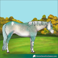 Horse Color:Platinum Watercolor White Spotted Chocolate Silver Brown Onyx Tobiano Appaloosa 