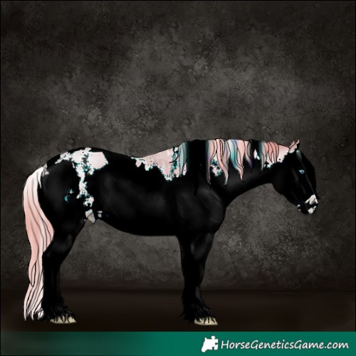 Horse Color:Watercolor White Spotted Liver Chestnut Pearl Sabino Splash 