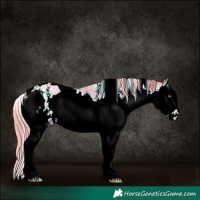 Horse Color:Watercolor White Spotted Liver Chestnut Pearl Sabino Splash