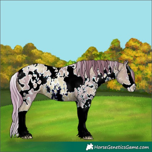 Horse Color:Watercolor White Spotted Liver Chestnut Pearl Sabino Splash Blanket 