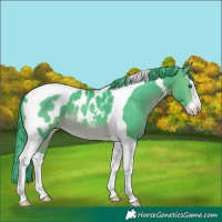 Horse Color:Watercolor Brown Splash Tobiano Appaloosa 
