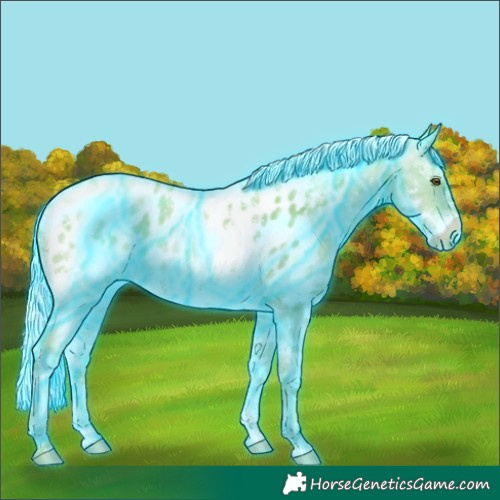 Horse Color:Thunderstruck Watercolor Silver Grullo Pearl Splash Tobiano Appaloosa Rabicano 