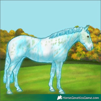 Horse Color:Thunderstruck Watercolor Silver Grullo Pearl Splash Tobiano Appaloosa Rabicano 