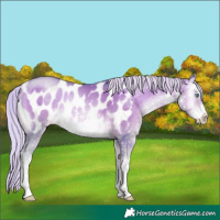 Horse Color:Platinum Watercolor White Spotted Silver Buckskin Pearl Onyx Blanket 