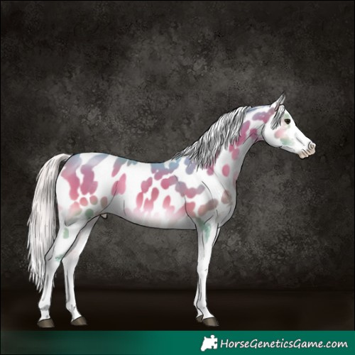 Horse Color:Platinum Watercolor White Spotted Silver Brown Onyx Appaloosa 