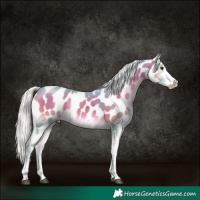 Horse Color:Platinum Watercolor White Spotted Silver Brown Onyx Appaloosa 