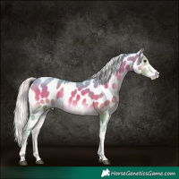 Horse Color:Platinum Watercolor White Spotted Silver Brown Onyx Appaloosa