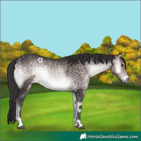 Horse Color:Platinum Buckskin Onyx 