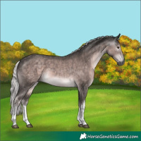 Horse Color:Gray Platinum White Spotted Chocolate Palomino 