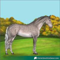 Horse Color:Platinum White Spotted Chocolate Palomino 
