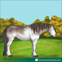 Horse Color:Platinum White Spotted Liver Chestnut 