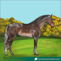 Horse Color:Liver Chestnut Mushroom Tobiano Rabicano 